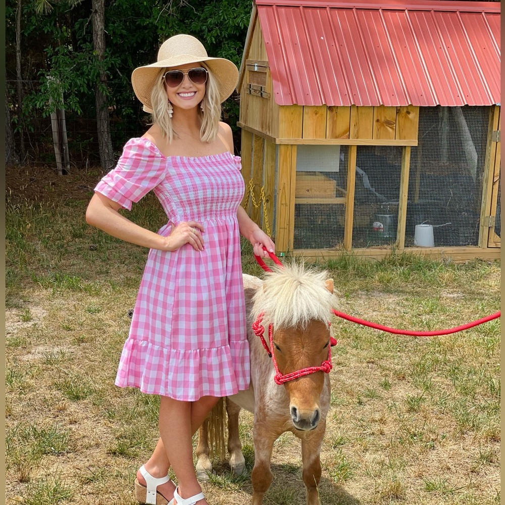 Pink plaid dress size small